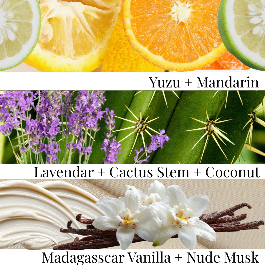 Collage of citrus fruits, lavender, cactus stem, coconut, Madagascar vanilla, and nude musk with corresponding names.