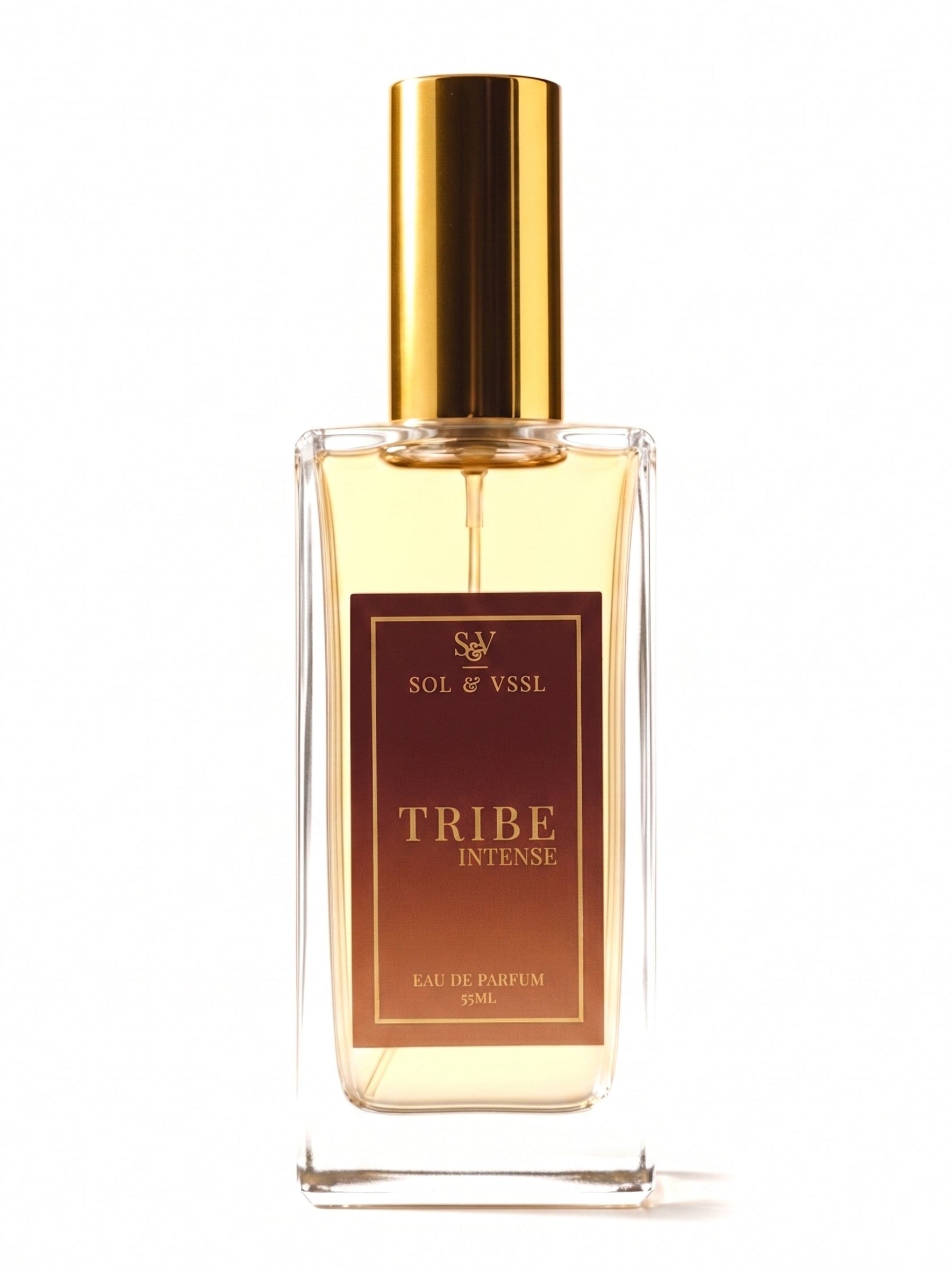 TRIBE INTENSE