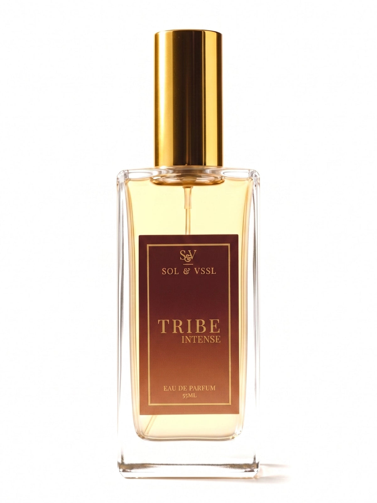 TRIBE INTENSE perfume in a clear rectangular bottle with a gold cap and brown label on a white background.