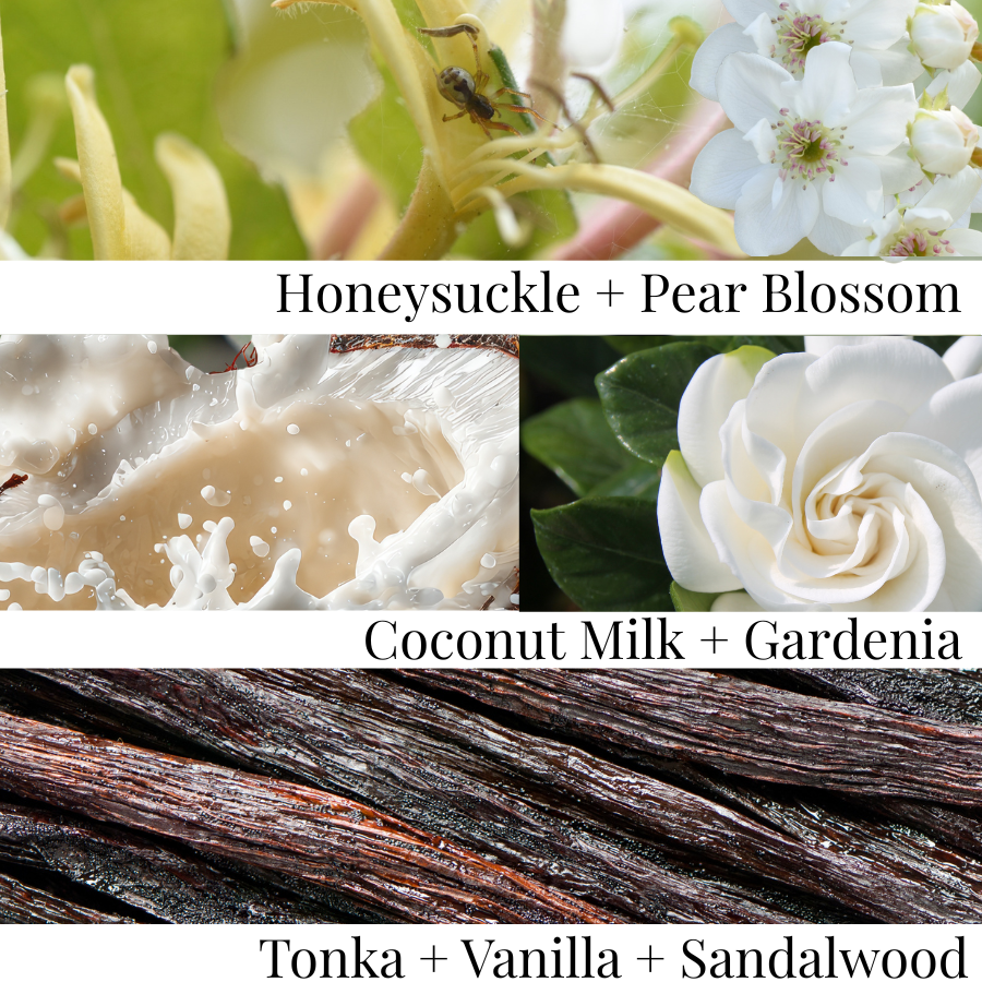 Collage of flowers and vanilla beans with text indicating scents.